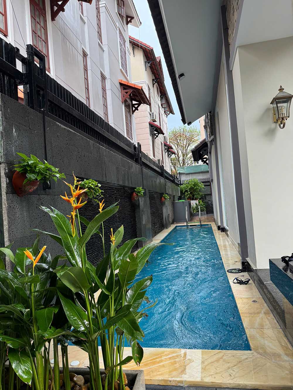 ho boi chi ngoc anh kdc him lam bình chánh 1